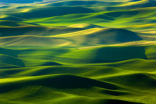 USA, Washington State, Palouse Hills. Farmland viewed from Steptoe Butte. Credit as: Don Paulson / Jaynes Gallery / DanitaDelimont.com