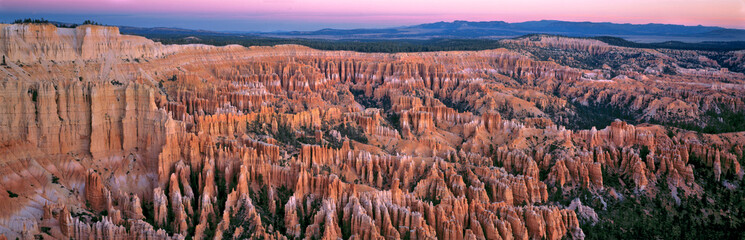 USA, Utah, Bryce Canyon NP. The red fingers of dawn tickle Bryce Canyon National Park, Utah.
