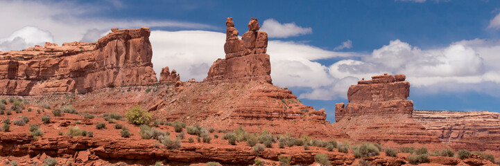 Fototapeta na wymiar USA, Utah. Valley of the Gods, Bears Ears National Monument