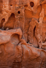 USA, Utah. Wall detail on the trail to Navajo Arch, Arches National Park