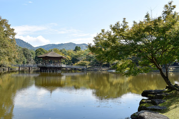 奈良公園　浮見堂