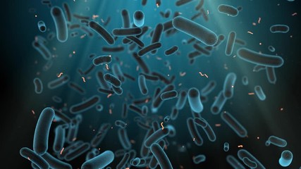 Antibiotic resistant bacteria illness infection and inflammation