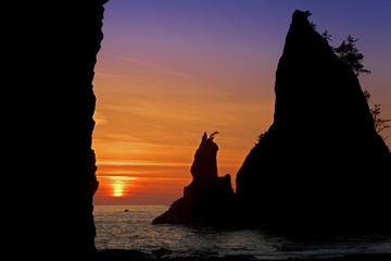 USA, Washington, Olympic National Park. Sunset creates silhouettes of Rialto Beach seastacks. 