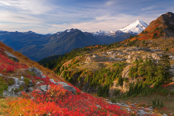 USA, Washington, Mount Baker Wilderness. View of Mount Shuksan from Yellow Aster Butte Trail. 