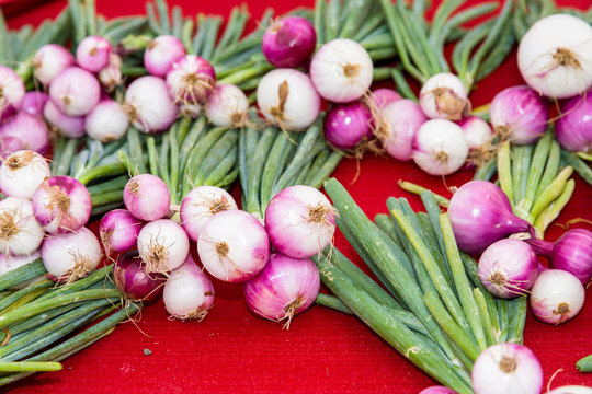 USA, Austin, Texas, Saturday morning farmer's market, Republic Square park, Tecolote Farm, Turnips - certified organic vegetables.