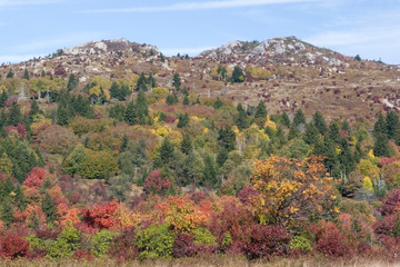 Fototapeta na wymiar USA - Virginia. Fall color in Grayson Highlands State Park and along trail to Mt. Rogers (highest point of Virginia).