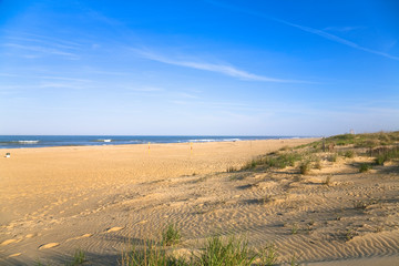 Virginia Beach, VA, USA - Sand patterned by blowing winds surround tufts of grass at the beach. In the background you can see waves in the ocean.