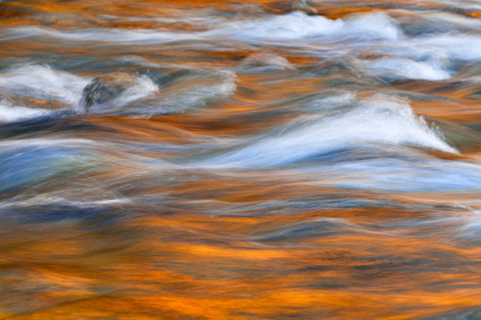 USA, Washington, Quinault. Autumn colors reflect in Quinault River. Credit as: Don Paulson / Jaynes Gallery / DanitaDelimont.com