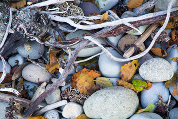 United States, Washington State, Olympic National Park