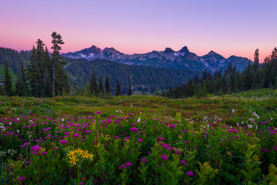 USA, Washington State, Mt. Rainier National Park. Tatoosh Range twilight in summer. Credit as: Dennis Kirkland / Jaynes Gallery / DanitaDelimont.com