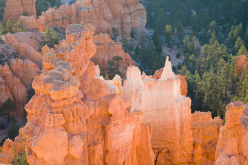 UT, Bryce Canyon National Park, Queens Garden, Queen Victoria formation