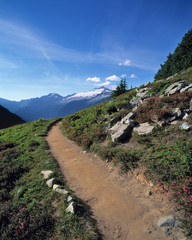 USA, Washington State, North Cascades NP. A dirt trail leads through Cascades Pass, in North Cascades National Park, Washington State.