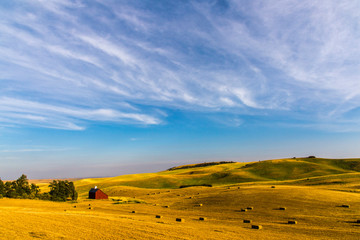 USA, Washington State, Farm, Agriculture