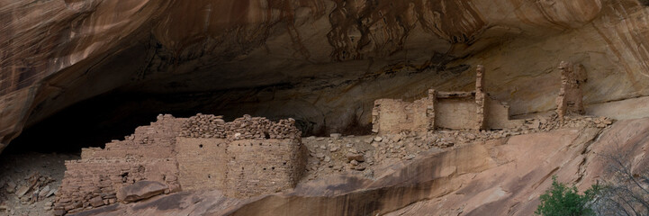 USA, Utah. Monarch Cave Ruins, Bears Ears National Monument