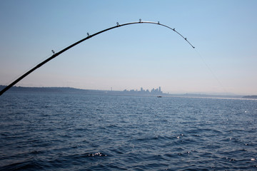 Fototapeta na wymiar Salmon Fishing in Puget Sound, Seattle, Washington State, USA.
