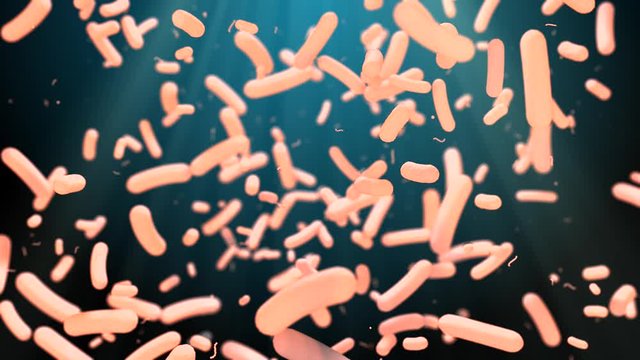 Bacterium cell and bacteria microscopic organism