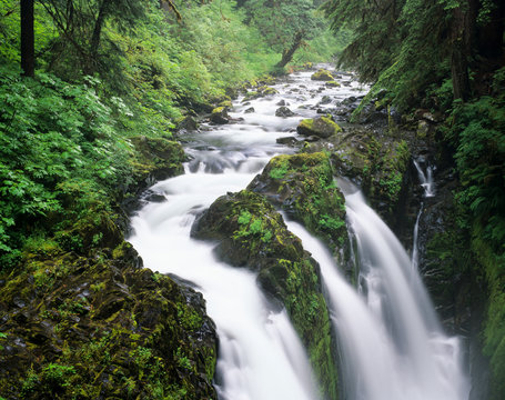 WA, Olympic National Park, Sol Duc Falls and Sol Duc River
