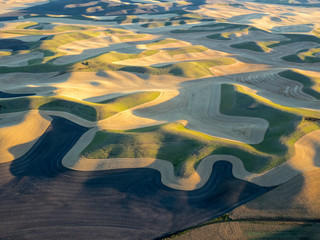 USA, Washington State, Palouse, Whitman County. Aerial photography at harvest time in the Palouse...