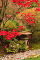 Fototapeta na wymiar Japanese Garden, Washington Park, autumn colors, Seattle, Washington State, USA