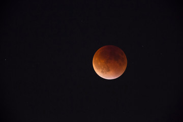 USA, Washington State, Seattle, Lunar Eclipse, total lunar eclipse