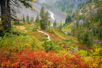 USA, Washington, Mount Baker Wilderness, Cascade Mountains. Autumn colors in Heather Meadows and...