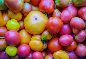  ripe tomatoes. ripe country tomatoes. organic product. farming. autumn harvest. healthy food