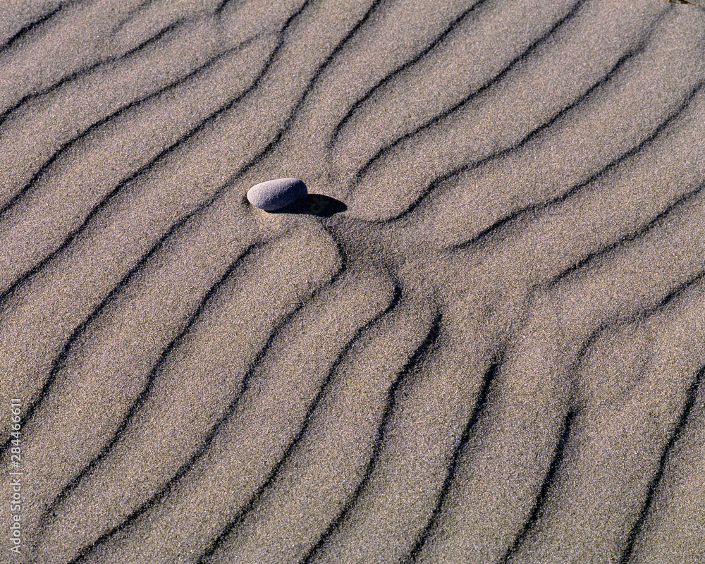 Poster USA, Washington State, Olympic NP. Wind and water create a pattern around this rock at Olympic NP, a a World Heritage Site in Washington State.