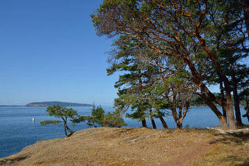 Fototapeta na wymiar USA, Washington State. San Juan Islands, Jones Island. Grassy point near the reef at North Cove