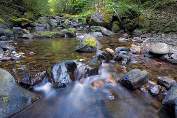 USA, Washington State, Swift Reservoir. A stream flows from the moutains into Swift Reservoir,...