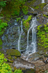 Falls Creek Falls, Mount Rainier National Park, Washington, USA
