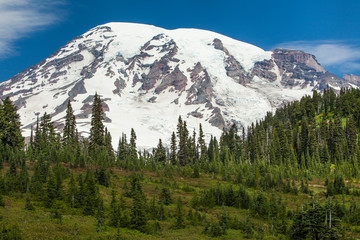 Mt Rainer and Forested Moraines as seen from Paradise Meadows, Mt. Rainier National Park