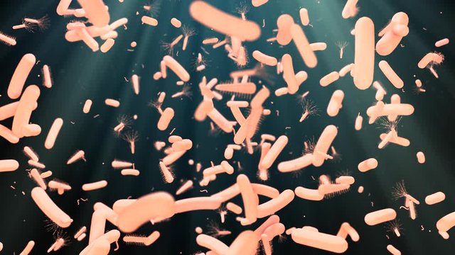 Antibiotic resistant bacteria cells science healthcare medicine