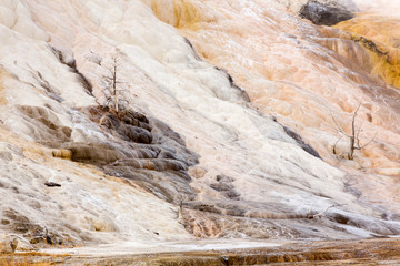 Wyoming, Yellowstone National Park, Mammoth Hot Springs, Travertine Terraces