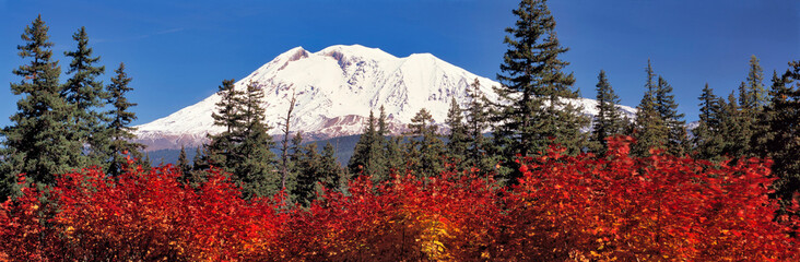 USA, Washington State, Mt Adams. Mt Adams, at 12,276 feet, is the southern most volcano in the Cascades Range of Washington State. © Ric Ergenbright/Danita Delimont