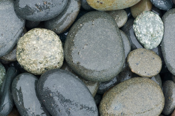 USA, WA, Olympic NP, Rialto Beach, Cobbles on Beach