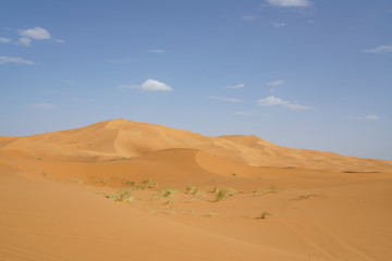 Sahara desert in marocco