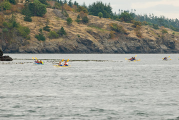 USa, Wa, San Juan Islands.