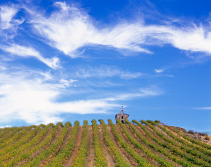 WA, Yakima Valley, Red Willow Vineyards with stone chapel