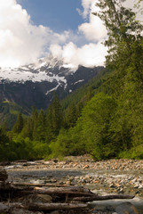 Fototapeta na wymiar USA, WA, Mount Baker Snoqualmie National Forest. Baker River Trail affords views of Jagged Ridge and Seahpo Peak in pristine Baker River canyon.