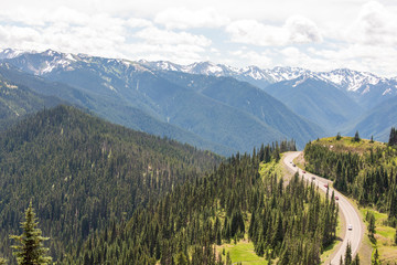 Fototapeta premium USA, Washington State, Olympic National Park Mt. Angeles road to Hurricane Ridge from Olympic National Park visitor center Port Angeles