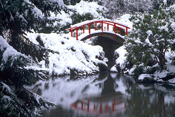 WA, Seattle, Moon bridge and pond after winter snow storm; Kubota Garden
