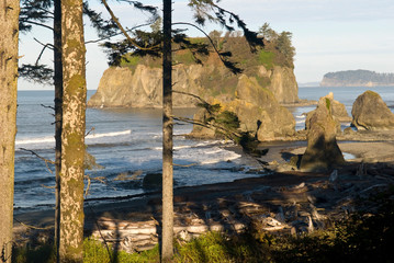 USA, WA, Olympic National Park. Morning view from trail to Ruby Beach sea stacks