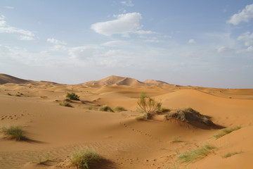 Sahara desert in marocco