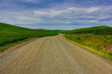 USA, Washington State, Palouse, Back road through the Wheat fields of the Palouse