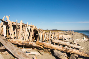 US, WA, Hansville. Point No Point State Park elaborate driftwood construction on beach.