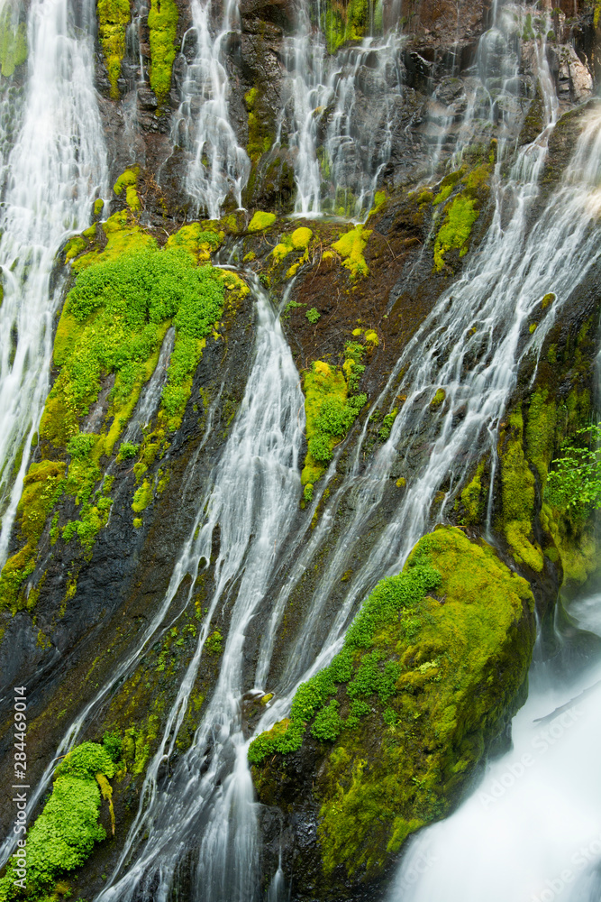 Canvas Prints Panther Creek Falls, Gifford-Pinchot National Forest, Carson, Washington, USA.