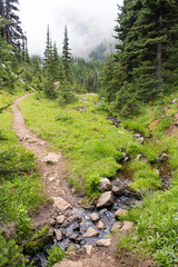 USA, Washington State, Olympic National Forest. Crossing Silver Creek on approach to Silver Lakes off Mt. Townsend Trail