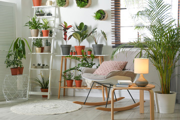 Stylish room interior with different home plants
