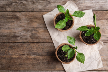 Vegetable seedlings in peat pots on wooden table, flat lay. Space for text