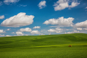 USA, Washington State, Palouse, Spring Rolling Hills of Wheat and Fallow fields